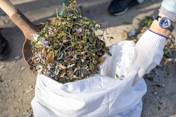 Garden debris being collected into a bag