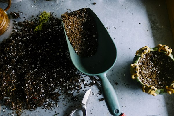 Hand tools and soil for garden work