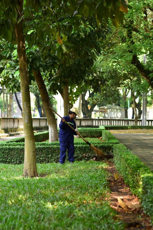 Gardener raking fallen leaves